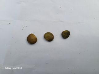 이윤미님의 자유주제 · 자유게시판 작성글 사진