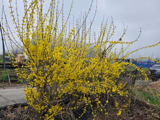 신이내린오디 정가네님의 자유주제 · 자유게시판 작성글 사진