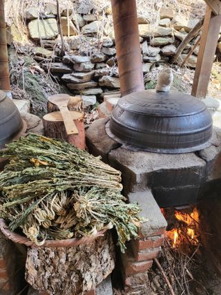 대운이네농원님의 자유주제 · 자유게시판 작성글 사진