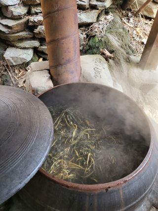 대운이네농원님의 자유주제 · 자유게시판 작성글 사진