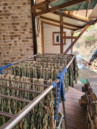 대운이네농원님의 자유주제 · 자유게시판 작성글 사진