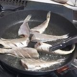 팜모닝 자유주제·자유게시판 게시글 이미지