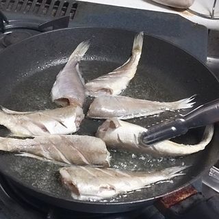 직송포유님의 자유주제 · 자유게시판 작성글 사진