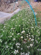 팜모닝 자유주제·자유게시판 게시글 이미지