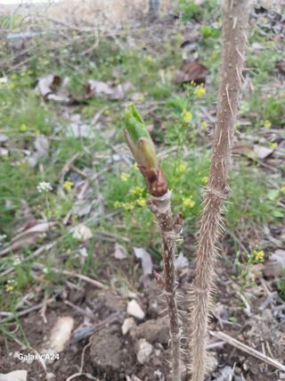 이상애초보농업님의 자유주제 · 자유게시판 작성글 사진