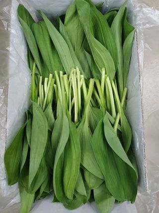 프룻하늬님의 작성글 사진