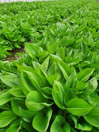 프룻하늬님의 작성글 사진