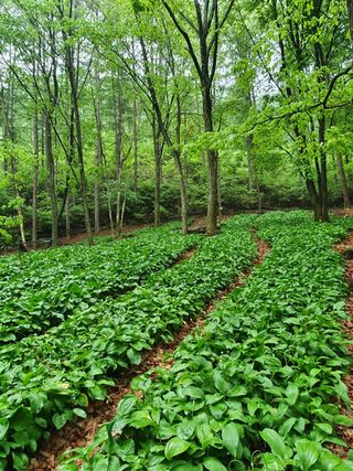 프룻하늬님의 작성글 사진