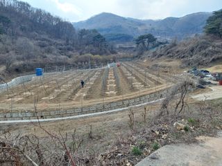 트라이애플1님의 사과 · 영농일지 작성글 사진