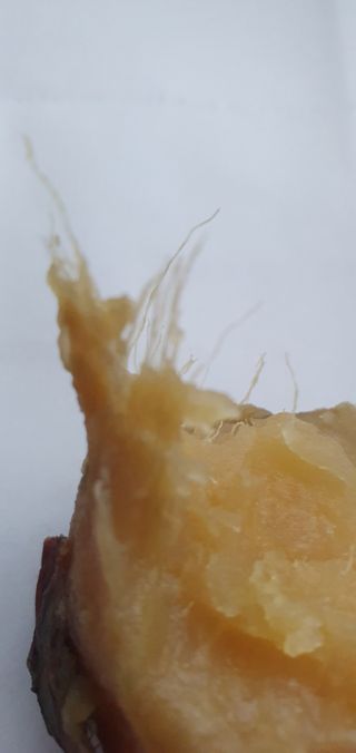 함영숙 님의 농사, 무엇이든 물어보세요! · 참여글 작성글 사진
