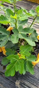 팜모닝 자유주제·자유게시판 게시글 이미지