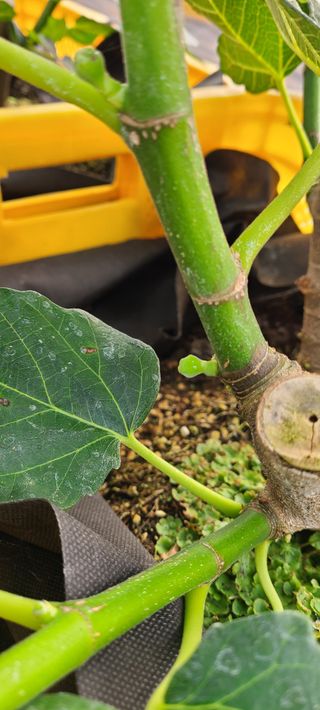 정오농장님의 자유주제 · 자유게시판 작성글 사진