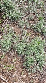 팜모닝 자유주제·건의해요 게시글 이미지