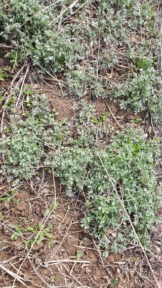 관심농사꾼님의 자유주제 · 건의해요 작성글 사진