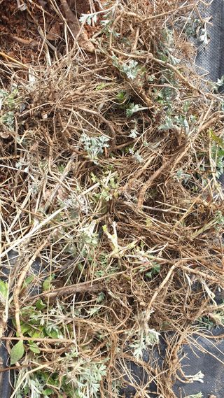 관심농사꾼님의 자유주제 · 건의해요 작성글 사진