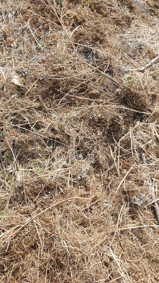 관심농사꾼님의 자유주제 · 건의해요 작성글 사진