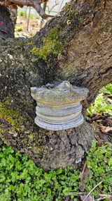 팜모닝 자유주제·자유게시판 게시글 이미지