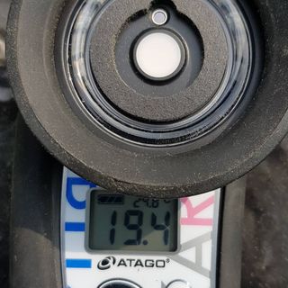 동우농장(김대욱)님의 복숭아 · 자유게시판 작성글 사진