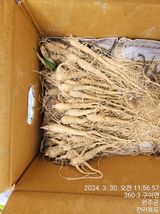 팜모닝 · 게시글 이미지