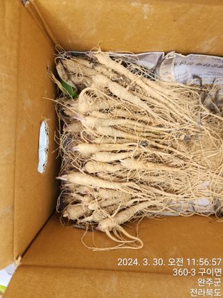 약도라지6018님의 작성글 사진