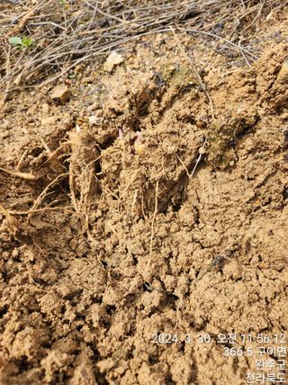 약도라지6018님의 작성글 사진