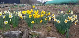 양파공감님의 자유주제 · 자유게시판 작성글 사진