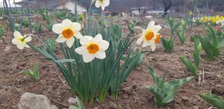 양파공감님의 자유주제 · 자유게시판 작성글 사진