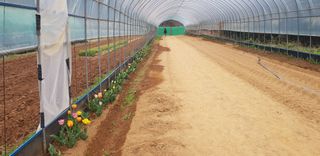 양파공감님의 자유주제 · 자유게시판 작성글 사진