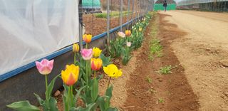 양파공감님의 자유주제 · 자유게시판 작성글 사진