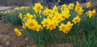 양파공감님의 자유주제 · 자유게시판 작성글 사진