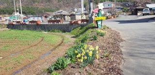 양파공감님의 자유주제 · 자유게시판 작성글 사진