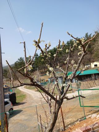 이영선긍증의힘으로님의 자유주제 · 자유게시판 작성글 사진