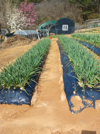 이영선긍증의힘으로님의 자유주제 · 자유게시판 작성글 사진