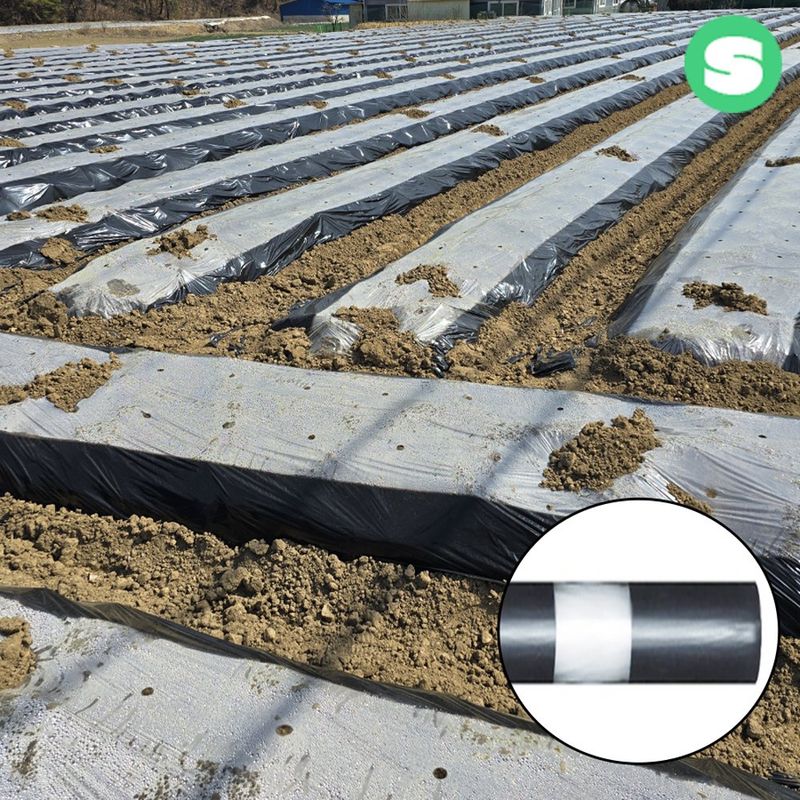 장터 상품 [멀칭비닐 배색 멀칭용필름] 썸네일