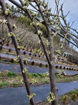 팜모닝 자유주제·자유게시판 게시글 이미지