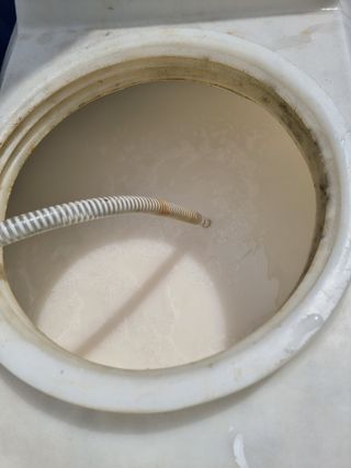 정영기대산축산농부♡님의 마늘 · 영농일지 작성글 사진