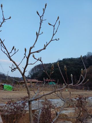 옥이낭자님의 자유주제 · 자유게시판 작성글 사진