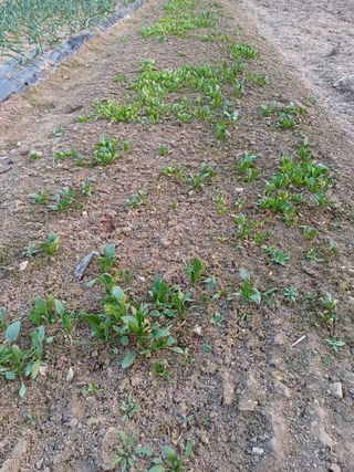 옥이낭자님의 자유주제 · 자유게시판 작성글 사진