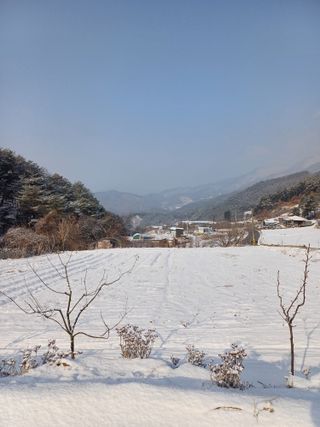 옥이낭자님의 자유주제 · 자유게시판 작성글 사진