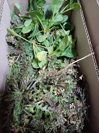 옥이낭자님의 자유주제 · 자유게시판 작성글 사진