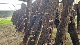 귤17884님의 4월 농사계획 공유해요 · 참여글 작성글 사진