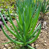 팜모닝 자유주제·자유게시판 게시글 이미지