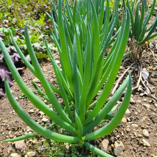 knlee님의 자유주제 · 자유게시판 작성글 사진