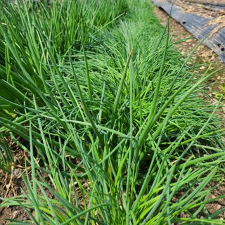 knlee님의 자유주제 · 자유게시판 작성글 사진