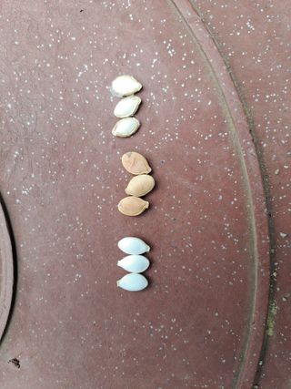 경병수님의 자유주제 · 자유게시판 작성글 사진