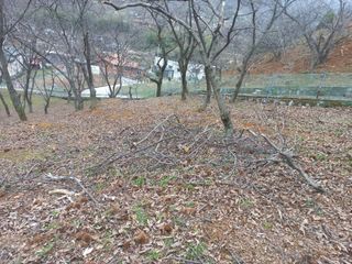 손 무현님의 기타작물 · 영농일지 작성글 사진