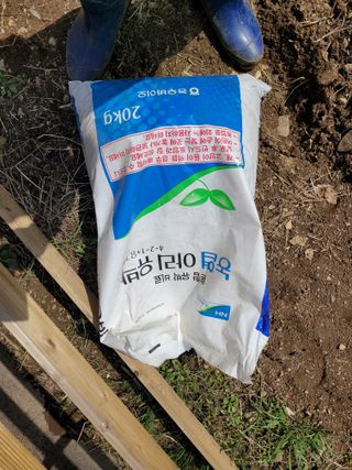 조영락님의 감자 · 영농일지 작성글 사진