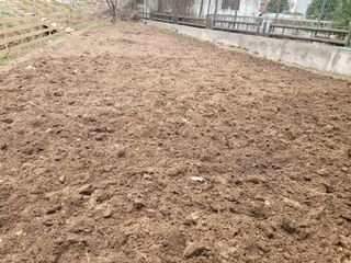 조영락님의 감자 · 영농일지 작성글 사진