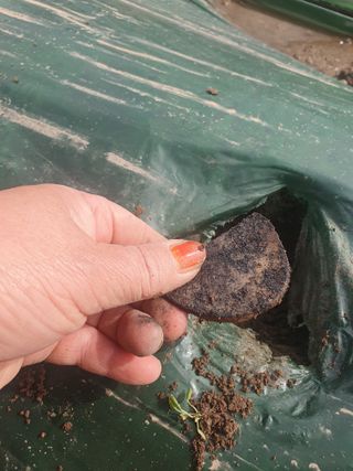 김옥자님의 자유주제 · 자유게시판 작성글 사진