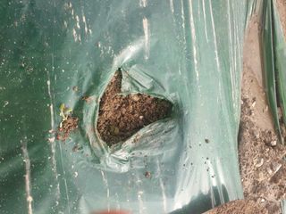 김옥자님의 자유주제 · 자유게시판 작성글 사진